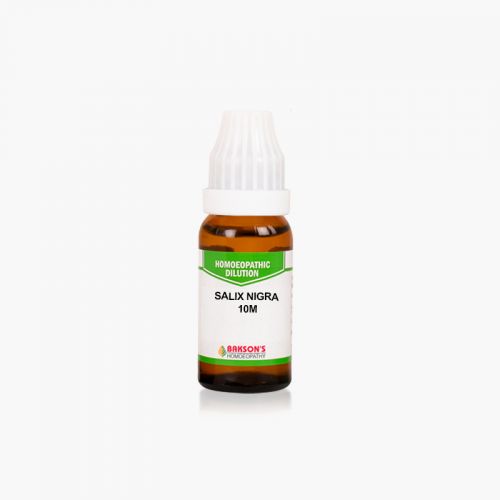 Bakson salix nigra 10m 